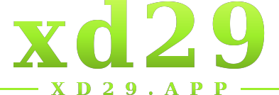 xd29 logo